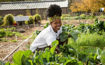 microfinance agriculture